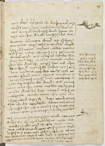 Codice sul volo degli uccelli, c. 1505-06, manoscritto su carta, cc. 18, foglio 13 recto da Leonardo da Vinci